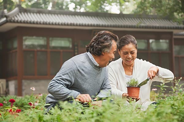 10 กิจกรรมคลายเหงาวัยเกษียณ เปลี่ยนวันว่างให้เป็นวันสุขและมีคุณค่า