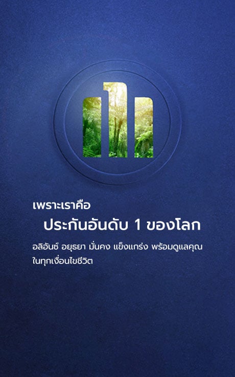 เคลมประกันรถยนต์, ซ่อมอู่ อลิอันซ์ อยุธยา