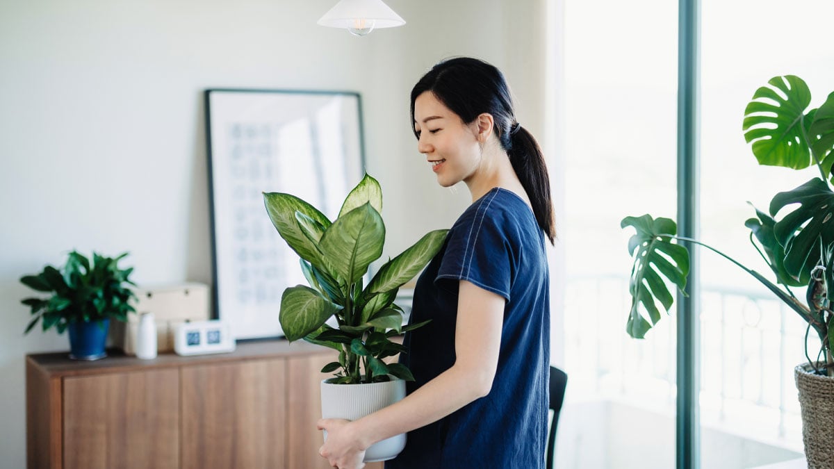 คำนวณทุนประกันบ้านและคอนโดอย่างไรให้คุ้มค่าและครอบคลุม